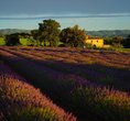 Lilac Cottageb Andb